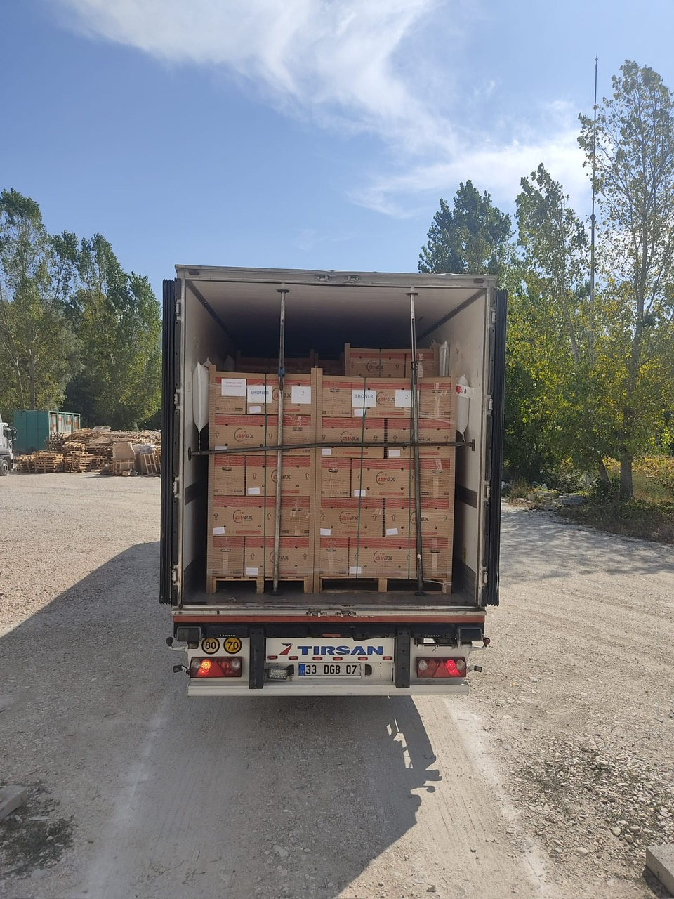 DAMIZLIK YUMURTA (ROSS 308 BROILER)